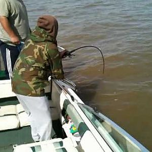 Hmong Sturgeon fishing part2