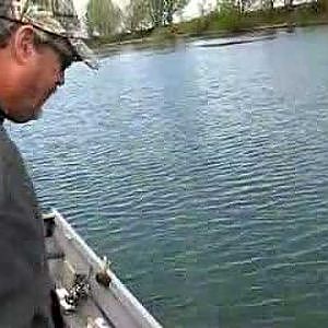 Sturgeon Fishing Willamette River Oregon