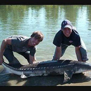 Sturgeon fishing in Washington