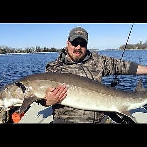 Epic Battle with a 100lb Lake Sturgeon!!! Rainy River