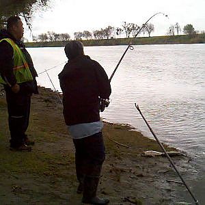 Sacramento River Sturgeon Fishing