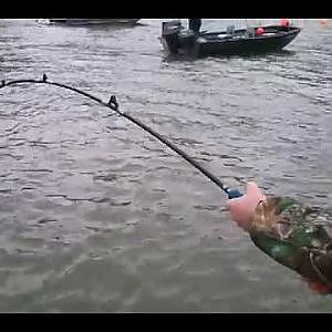 Sturgeon fishing willamette river portland oregon