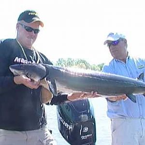 37 Menominee River Sturgeon