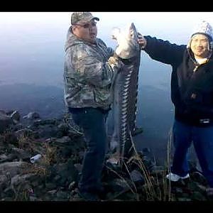 Hmong sturgeon fishing trip. #2 but oversized.