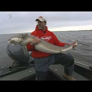 Giant Lake Sturgeon-Steve Pennaz-Fishingclub.com