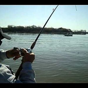 Sacramento River Sturgeon Fishing with Steve and Mike