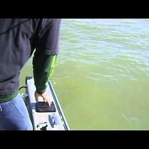 Sturgeon Fishing - Benicia, CA