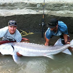 Sturgeon Fishing Adventures in British Columbia, Canada