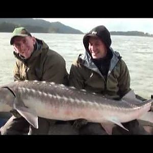 M&R TV - Canada, Fraser River, White Sturgeon Fishing.mpg