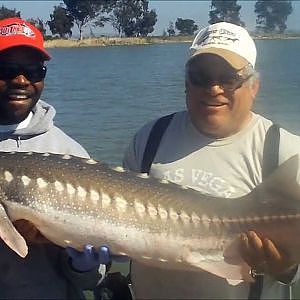 Sturgeon Fishing With HookDup Sport Fishing