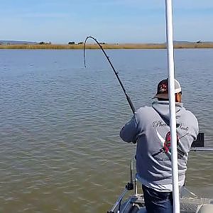 Sturgeon fishing Montezuma Slough 3/16/14