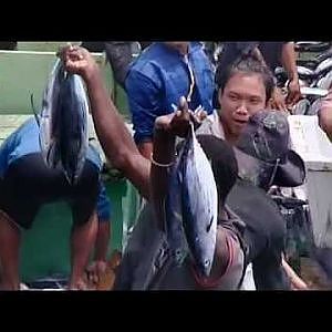 Extreme tuna fishing - Blood, Sweat and Takeaways