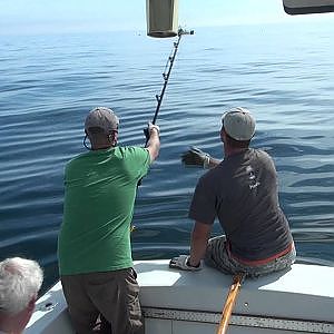 Blue fin Tuna Fishing off Gloucester MA 9/28/11 bluefin tuna 76 inch giant & two fish in two days.