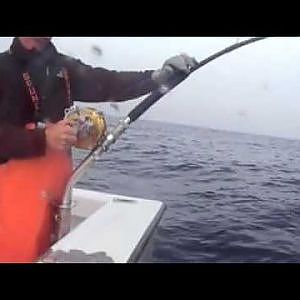 Three giant bluefin tuna in one day