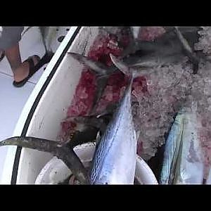 July 2012 Yellowfin Tuna Fishing