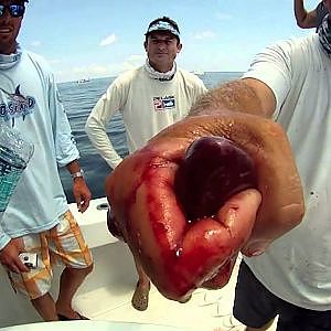 Yellowfin Tuna fishing off Venice, La. by Shane Leon