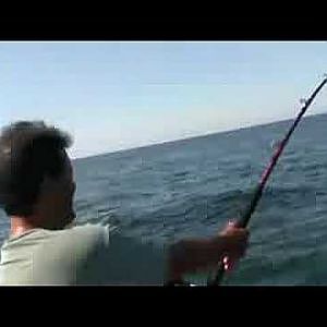 Bluefin Tuna Fishing Stellwagen Bank