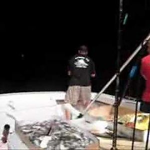 Yellowfin Tuna Fishing Lindenkohl Canyon, New Jersey