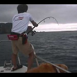 Bluefin tuna fishing of Japan