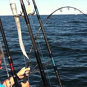 Bluefin Tuna Fishing Cape Cod 2011 - Get Reel Fishing