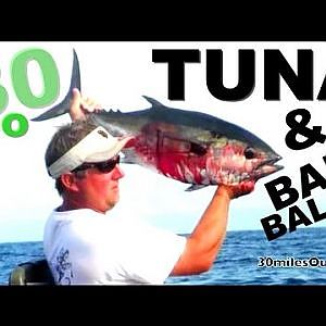 30milesOut.com- KAYAK FISHING TUNA, BAIT BALL ! ft. pickens florida, how to