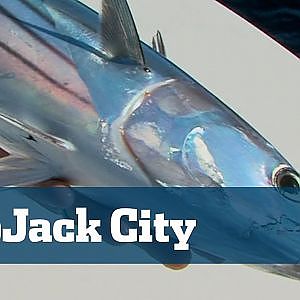 Sick Trolling Skipjack Tuna Action With Three And Four On At A Time