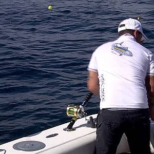 Fipsas   29 Campionato Italiano Big Game Tuna Fishing  Jesolo