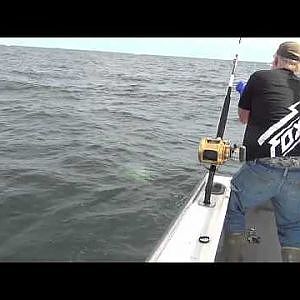 Maine Tuna Fishing 2011