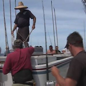 Wahoo & Summer Tuna: Long Range Fishing Aboard Independence