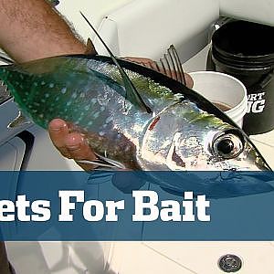 Catching Bonito And Juvenile Blackfin Tuna For Bait Using Planers