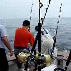 Tuna Fishing-Ocean City Md