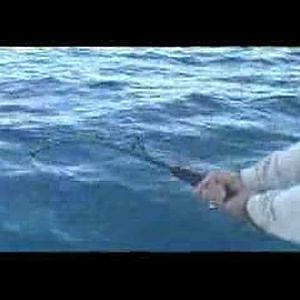 Incredible Tuna Fishing with Super Strike Charters