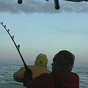 Bluefin Tuna Fishing