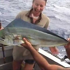 Live bait fishing for Mahimahi & Tuna.  Aitutaki 2011.mpg