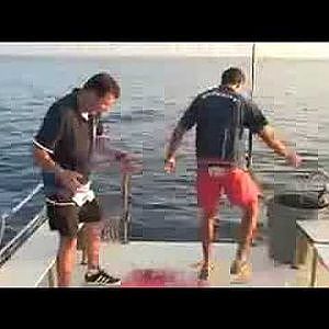 Tuna Fishing in Cyprus