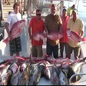 Tuna fishing - Red snapper fishing - Wahoo fishing - Grand isle  - Tuna charters