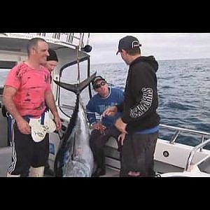 Adventure Bound - Big southern blue fin tuna off Port Fairy in Victoria