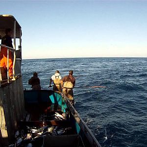 Commercial Tuna Fishing on the Malaga 2012