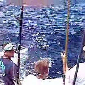 Tuna Fishing in Cape May NJ Schmedley Charters part 2