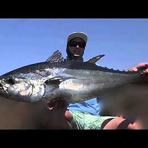 LBG Land based game rock fishing longtail tuna, spanish mackeral, sharks