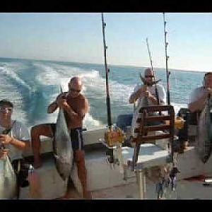 marlin and Tuna Fishing