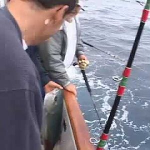 Dan Hernandez on tuna fishing H 264 for Video Podcasting