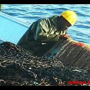Tuna Fishing fishing millionaire (pesca de atun pescamillonaria)