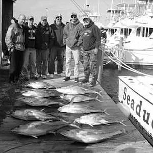 Fishing Report April yellow fin tuna