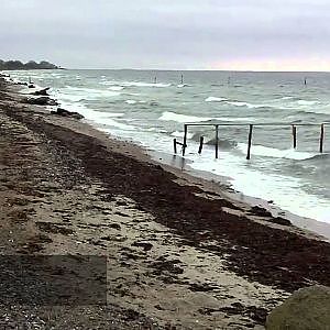 Angelurlaub auf Langeland, Dänemark