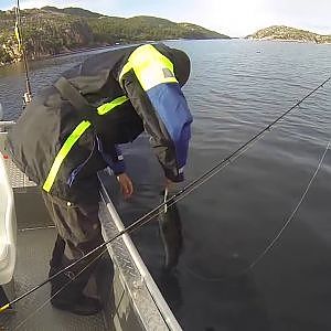 Angeln in Norwegen - Vingvågen Fishing Camp - GoPro Hero3