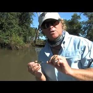 Barramundi Fishing in Australia showcasing a special Lure Technique