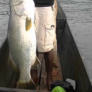 Papua Fishing Adventure for barramundis and papuan bass