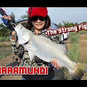 กระพงยักษ์ กัดตูมๆ โดดกระจาย (Barramundi Fishing Fighter) by fishingEZ