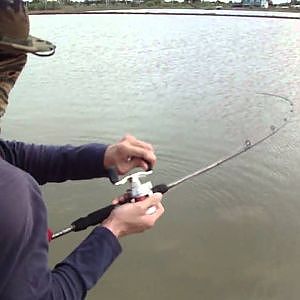 Crazy Popping !!! Crazy Barramundi !! Fishing Thailand By  BKKGUY